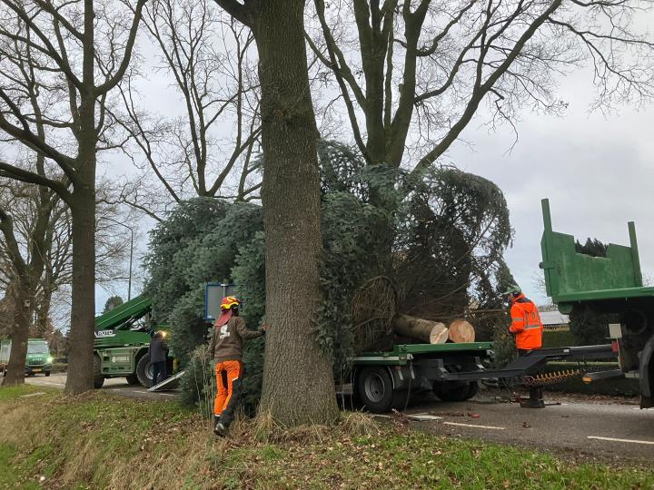 kerstboom